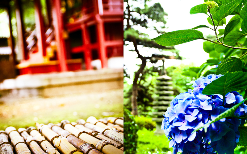 Japan Travel Fine Art Print